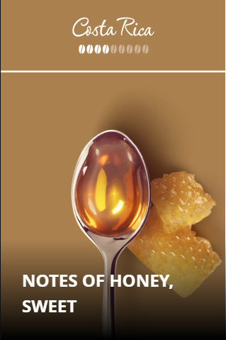 illy Costa Rica, Hele bønner 250 gr.