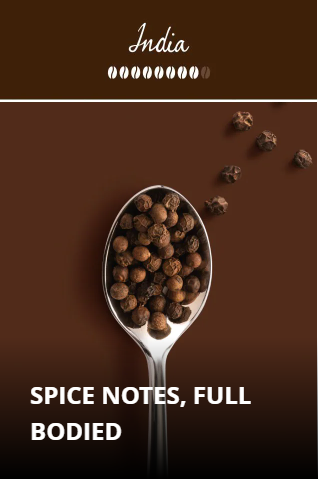 IperEspresso Kapsler India - 18 stk.