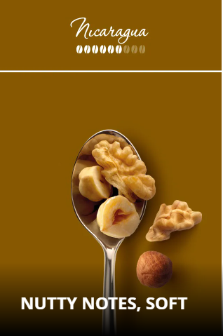 IperEspresso kapsler Nicaragua - 18 stk.